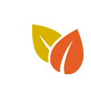feuille_orange